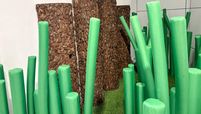 Szuwary Pampaliniego